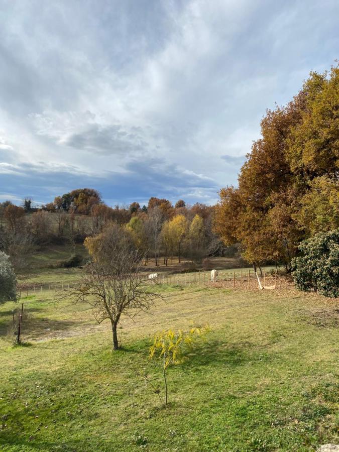 Cocotte Hébergement de vacances Pierrerue (Alpes-de-Haute-Provence)