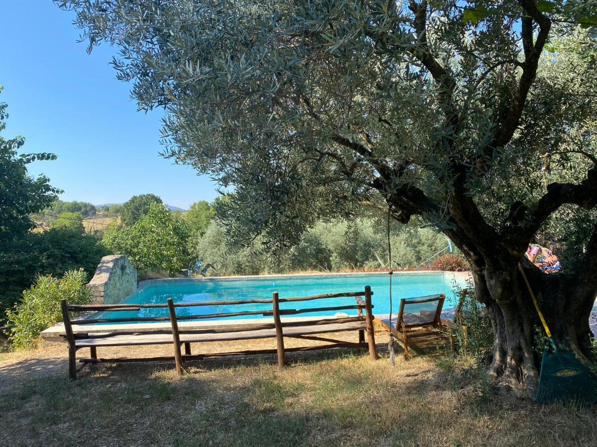Cocotte Holiday home