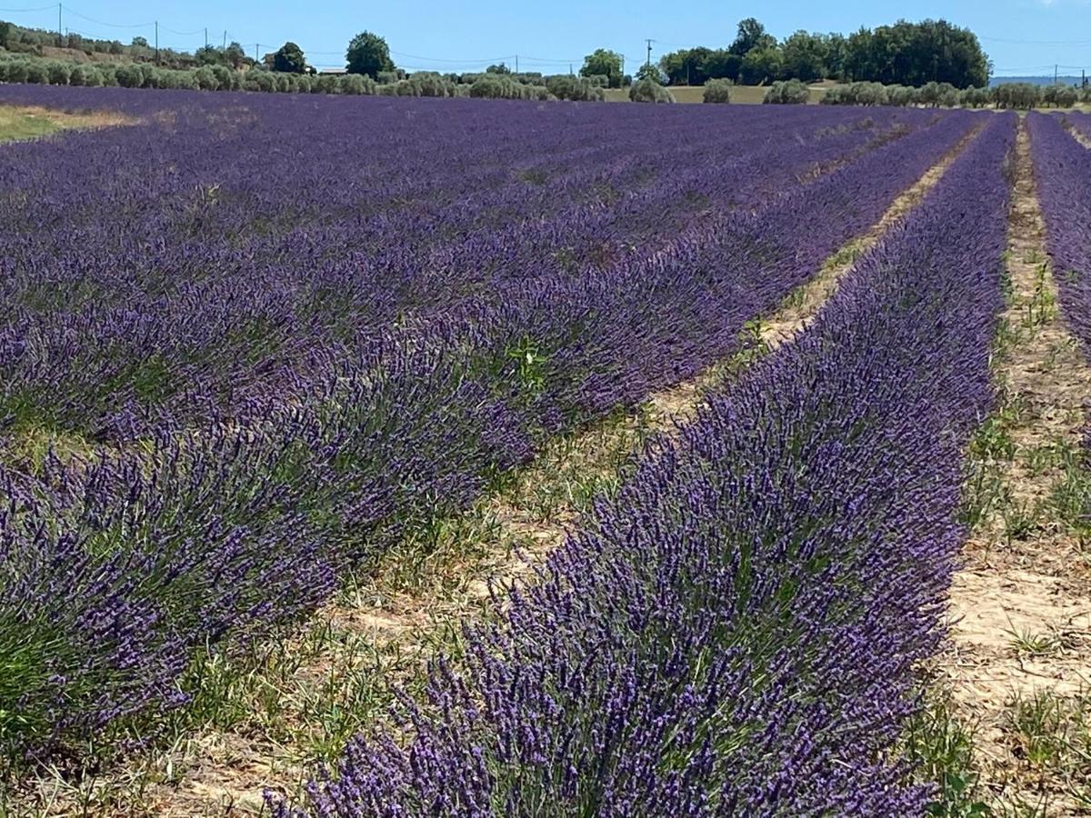 Cocotte Holiday home Pierrerue (Alpes-de-Haute-Provence)